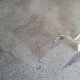 Clean Carpet 4